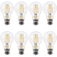 Eight ECO brand B22 filament-style LED light bulbs on a white background