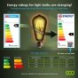 ECO 75W LED Vintage Light Bulb B22